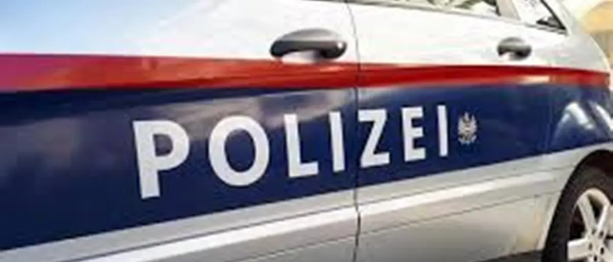 Lotta alla 'ndrangheta, operazione a Linz in Austria: perquisizioni