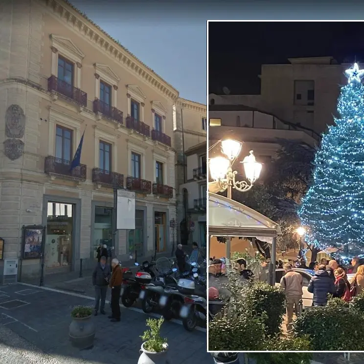 Donato dal Comune di Mongiana l'albero di Natale di Catanzaro