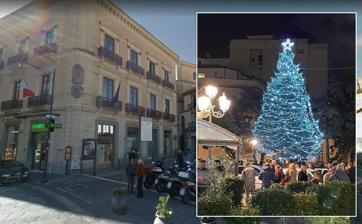 Donato dal Comune di Mongiana l'albero di Natale di Catanzaro