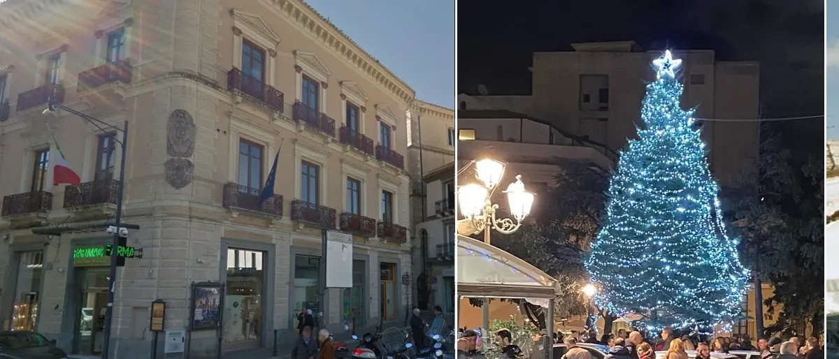 Donato dal Comune di Mongiana l'albero di Natale di Catanzaro