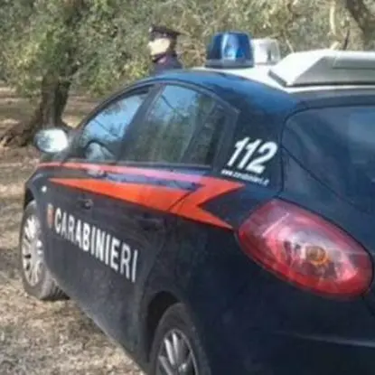 Resti umani nelle campagne di Limbadi, indagini da parte dei carabinieri e della Procura di Vibo