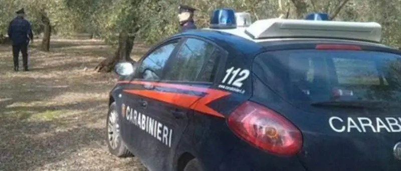 Resti umani nelle campagne di Limbadi, indagini da parte dei carabinieri e della Procura di Vibo