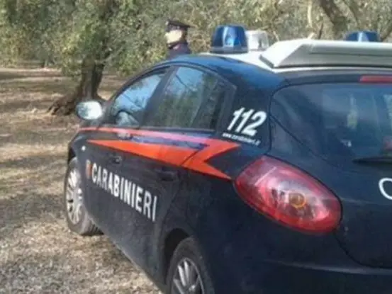Resti umani nelle campagne di Limbadi, indagini da parte dei carabinieri e della Procura di Vibo