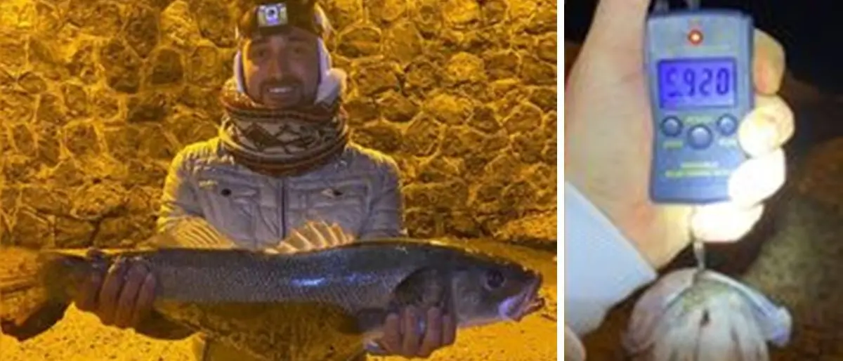 Pescata una spigola di sei chili nel mare vibonese