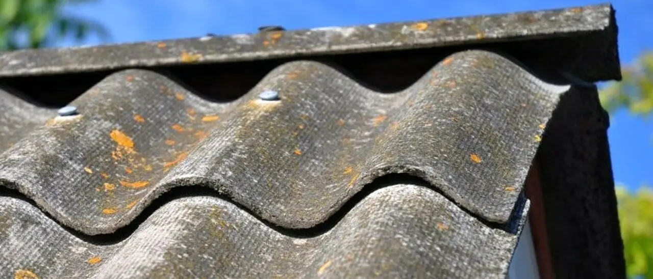 Ricadi, amianto e rifiuti (anche pericolosi) abbandonati in un terreno privato a Grotticelle: il sindaco impone lo smaltimento