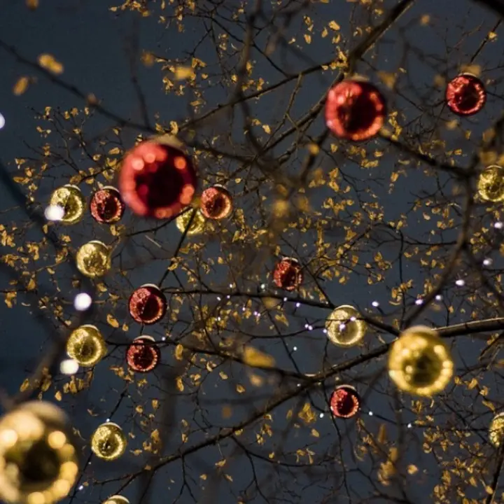 A Pizzo un albero di Natale realizzato con materiale riciclato