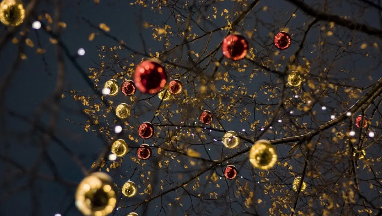 A Pizzo un albero di Natale realizzato con materiale riciclato
