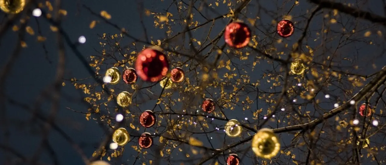 A Pizzo un albero di Natale realizzato con materiale riciclato