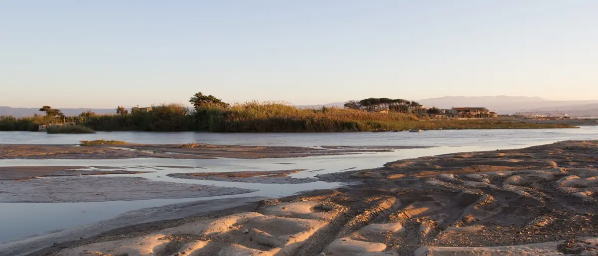 Giornata ecologica organizzata dal Wwf per valorizzare la Riserva Naturale del Mesima