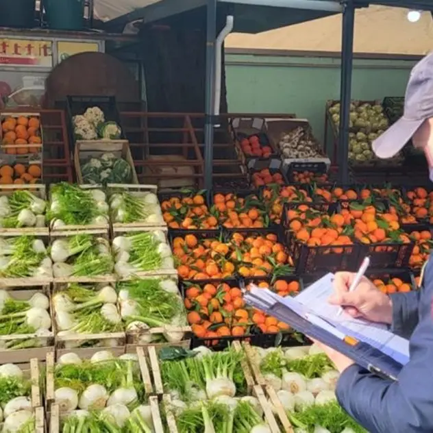 Vibo, nascondeva munizioni tra i banchi della frutta: denunciato e sequestrato il locale