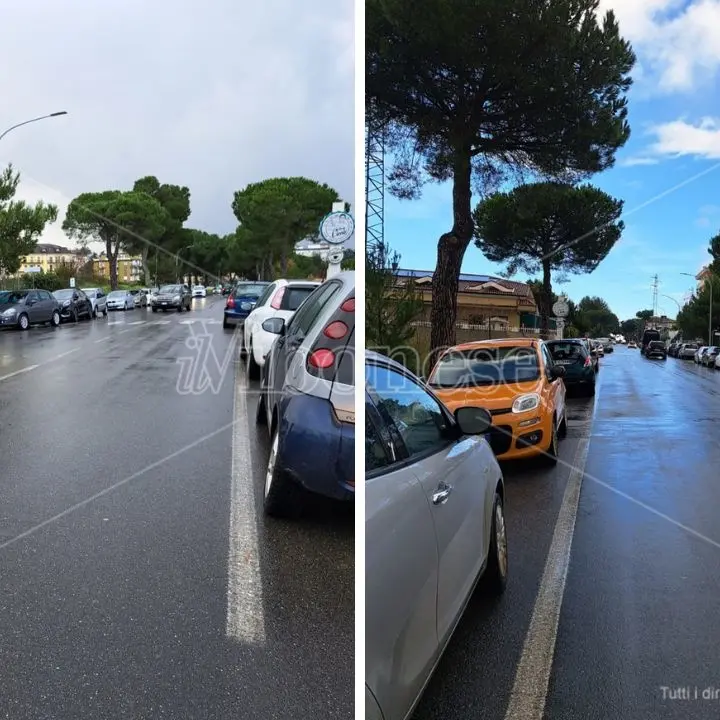 Vibo, i residenti di Palazzo Bruni: «Noi ostaggi delle auto in sosta su viale della Pace» –Foto