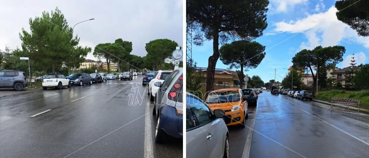 Vibo, i residenti di Palazzo Bruni: «Noi ostaggi delle auto in sosta su viale della Pace» –Foto