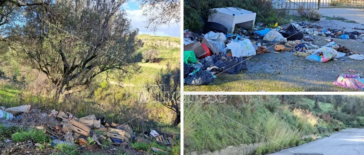 Provinciale per Briatico, Cessaniti e frazioni invasa dai rifiuti e con un manto stradale da dimenticare