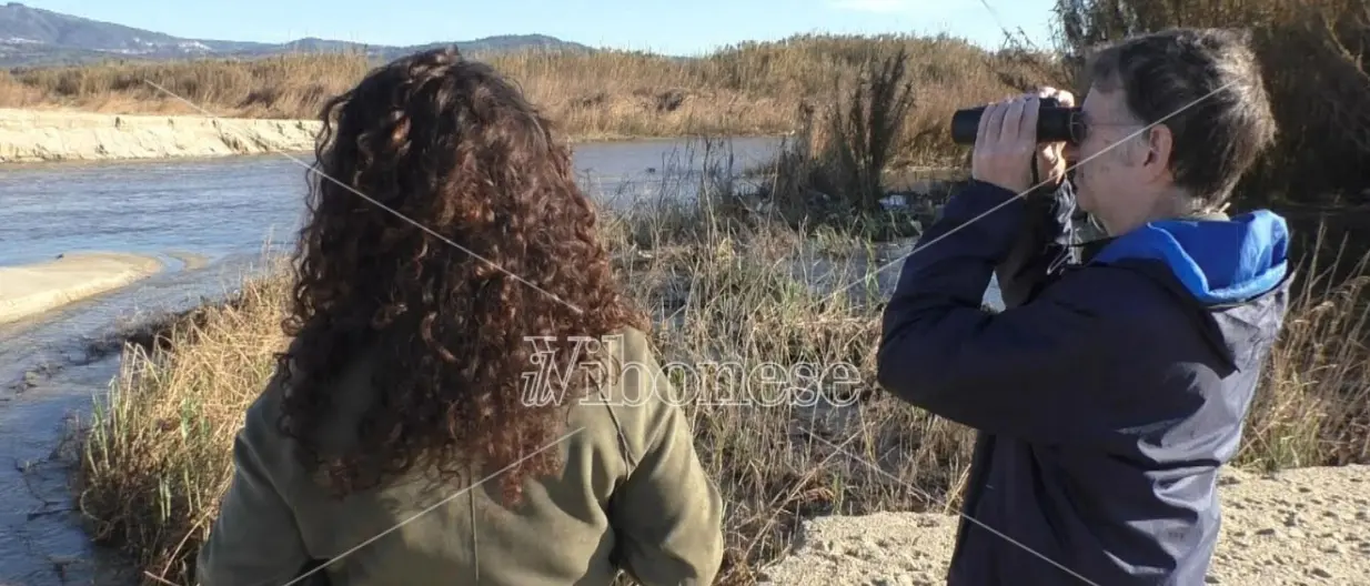 Riserva naturale alla foce del fiume Mesima, il Wwf: «Qui realtà unica» -Video