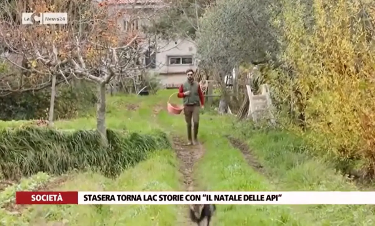 La storia di Vincenzo e Rita: hanno realizzato il loro sogno ad Arena - Video