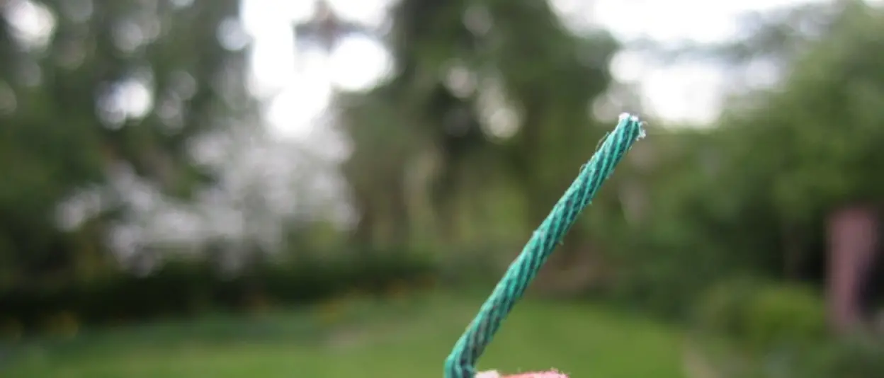 Botti di Capodanno, il Wwf: «Uso irresponsabile». Nel Vibonese pochi divieti