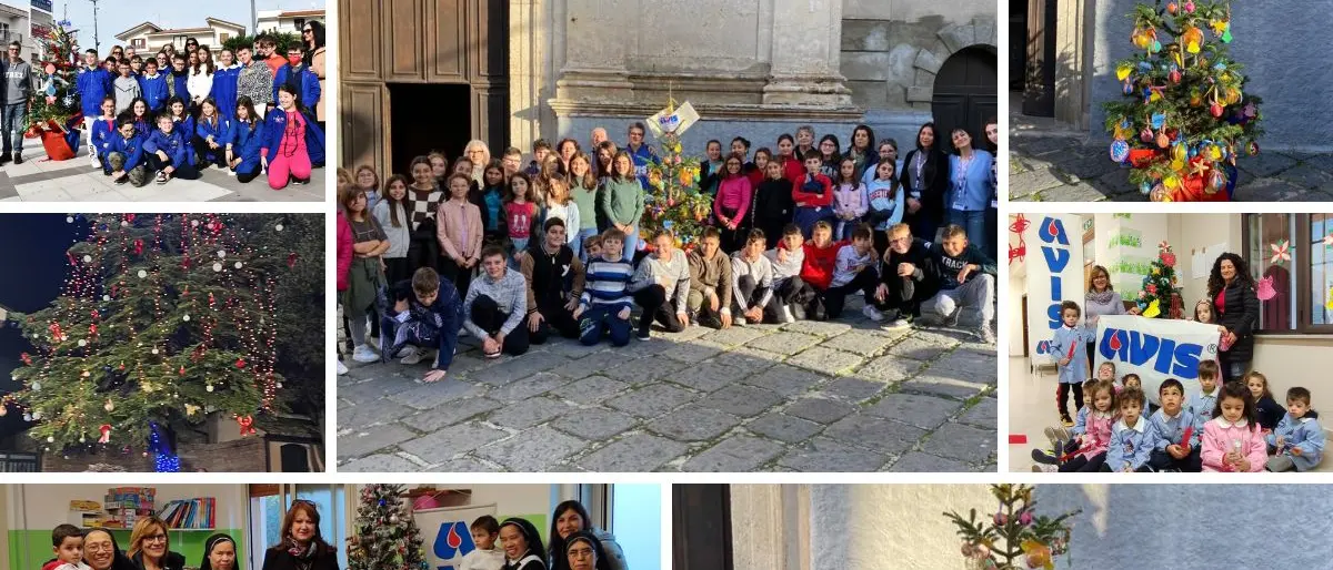 Donazione del sangue, l’Avis: «Nessun rimborso Asp. Il 2023? Non mancheranno novità»