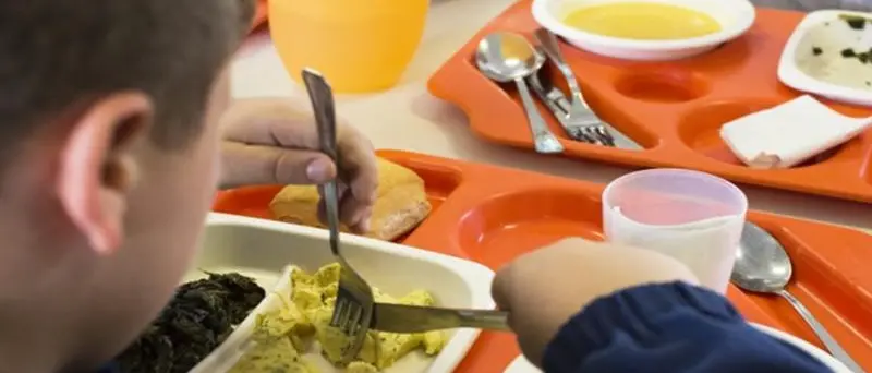 Mensa scolastica e trasporto pubblico, servizi contestati dai genitori degli alunni di Cessaniti e Pannaconi
