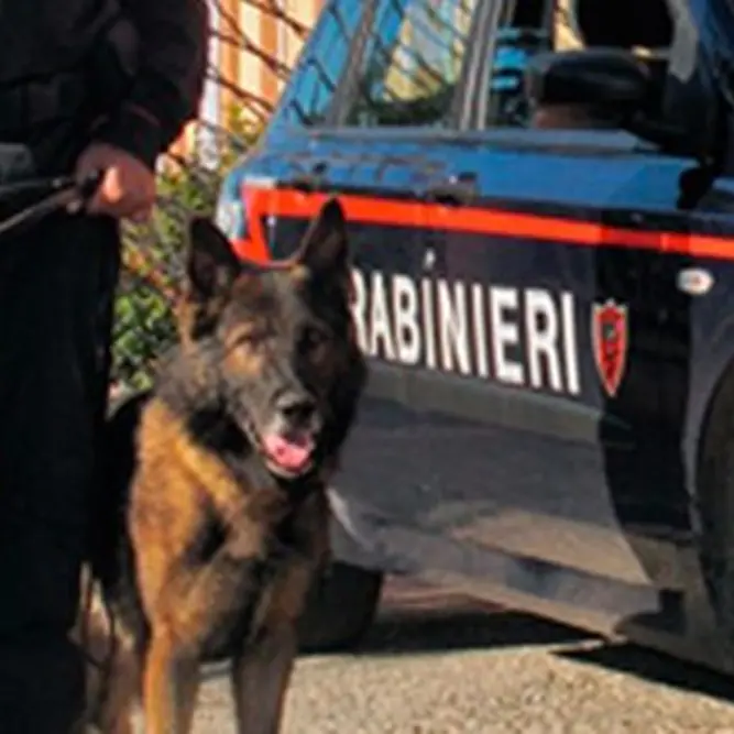 Carabinieri in azione fra Sant’Onofrio e Stefanaconi, perquisizioni in corso