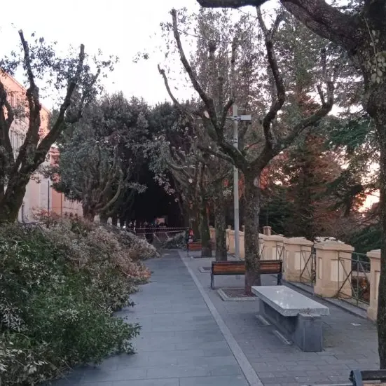 Vibo, il centro città alle prese con potature, lavori, cantieri, divieti di sosta e transito