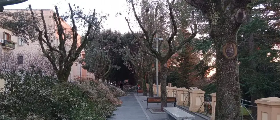 Vibo, il centro città alle prese con potature, lavori, cantieri, divieti di sosta e transito