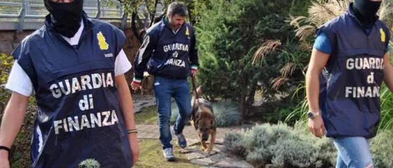 Narcotraffico dal Vibonese: in 26 colpevoli in Cassazione per l’operazione Stammer