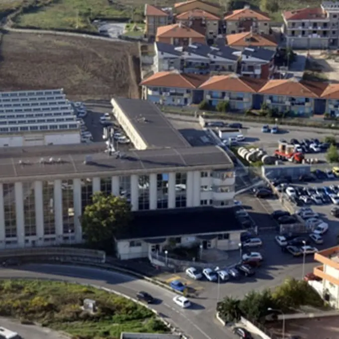 Provincia di Vibo, è Corrado L'Andolina il nuovo presidente