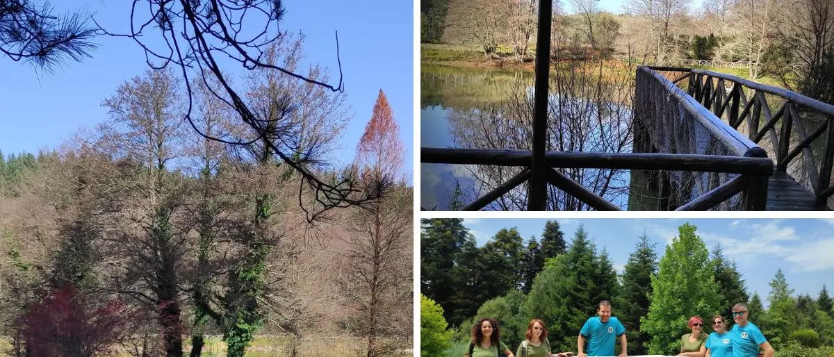 Trekking tra storia e natura, “Vivi Serra San Bruno” riparte con le escursioni