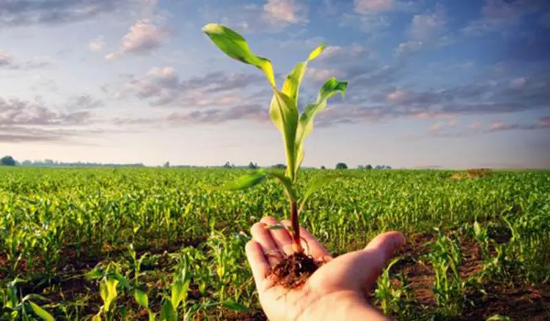 Bandi Gal, 40 aziende agricole a Spilinga per i decreti di finanziamento