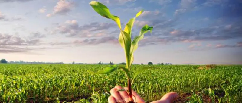 Bandi Gal, 40 aziende agricole a Spilinga per i decreti di finanziamento