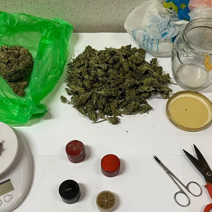 Nascondeva droga in casa, la polizia arresta giovane di Rombiolo