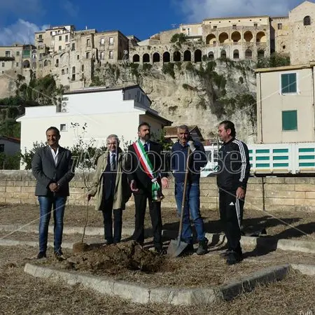 Tropea, dal Rotary quaranta piante per riqualificare un parcheggio abbandonato - Video