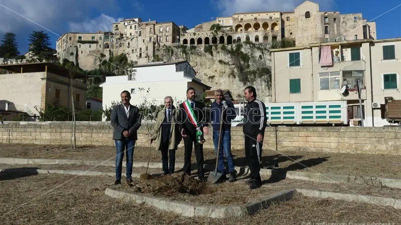 Tropea, dal Rotary quaranta piante per riqualificare un parcheggio abbandonato - Video