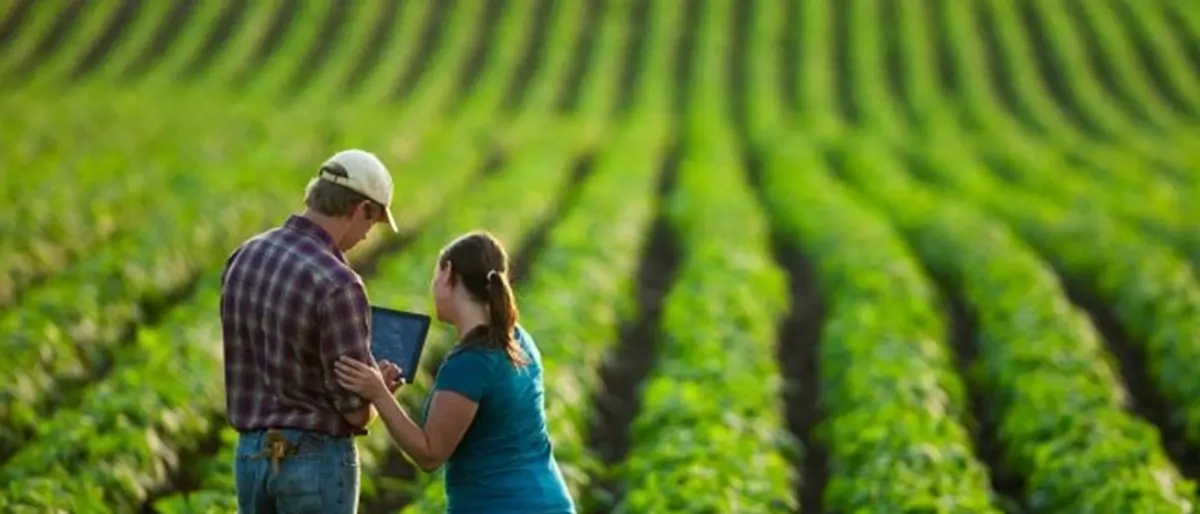 Fuga dalla campagna: il Vibonese tra le province con il dato più alto di abbandono