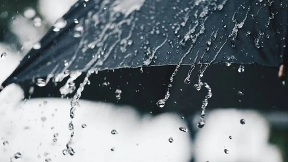 Back Umbrella in the rain in vintage tone; Shutterstock ID 728383990 , Shutterstock / donatphotography