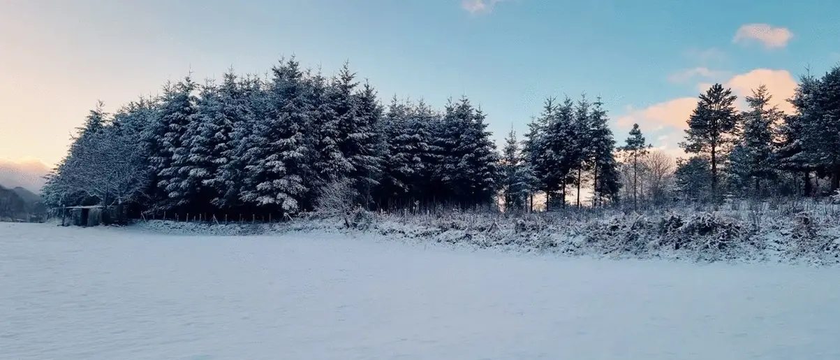La magia della neve nelle Serre vibonesi: i fiocchi regalano paesaggi incantati - Foto