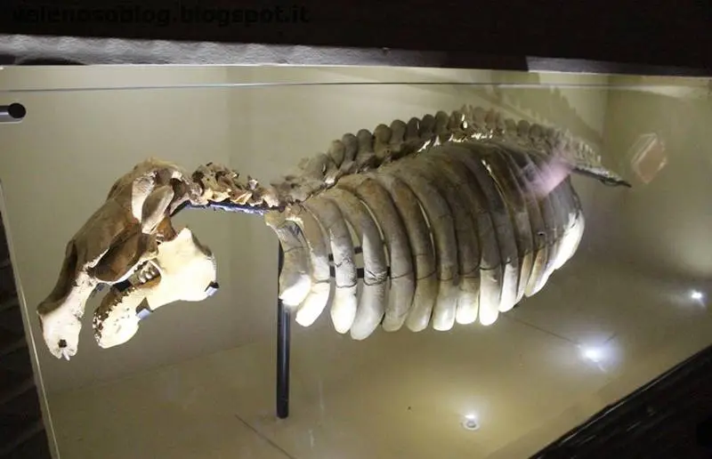Tropea, primi passi per la nascita del Museo del mare