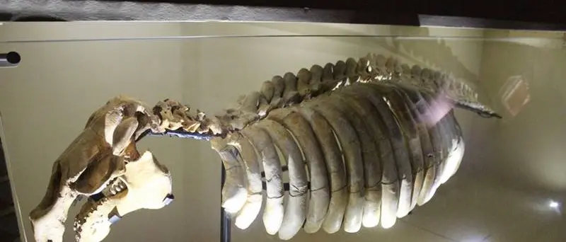 Tropea, primi passi per la nascita del Museo del mare