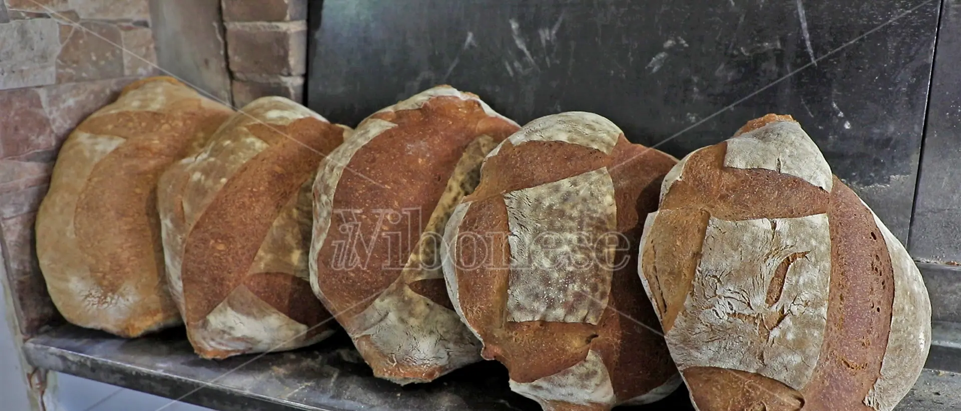 Due fratelli e un’unica passione: a Serra il pane di Bruno e Andrea fatto come una volta