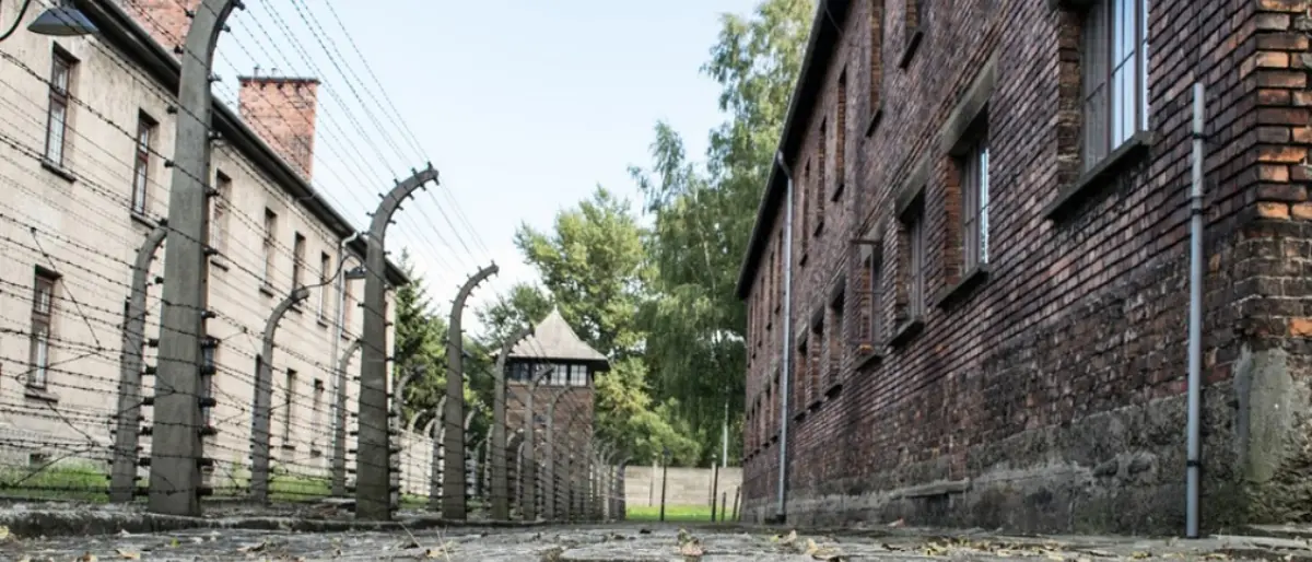 Shoah, dalla giornata della memoria ai libri per raccontare a bimbi e ragazzi lo sterminio degli ebrei