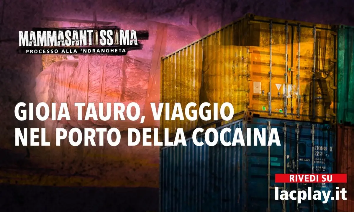 Il porto di Gioia principale accesso per la cocaina della 'ndrangheta: il reportage