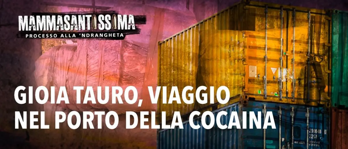 Il porto di Gioia principale accesso per la cocaina della 'ndrangheta: il reportage