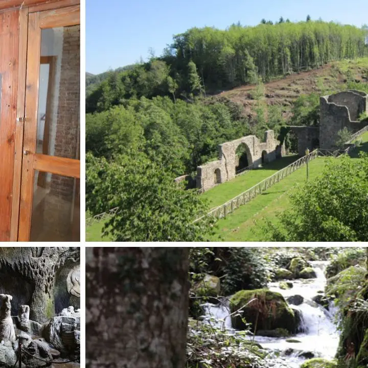 Parco delle Serre, un patrimonio unico da valorizzare: dalle guide agli itinerari, ecco progetti e idee di sviluppo