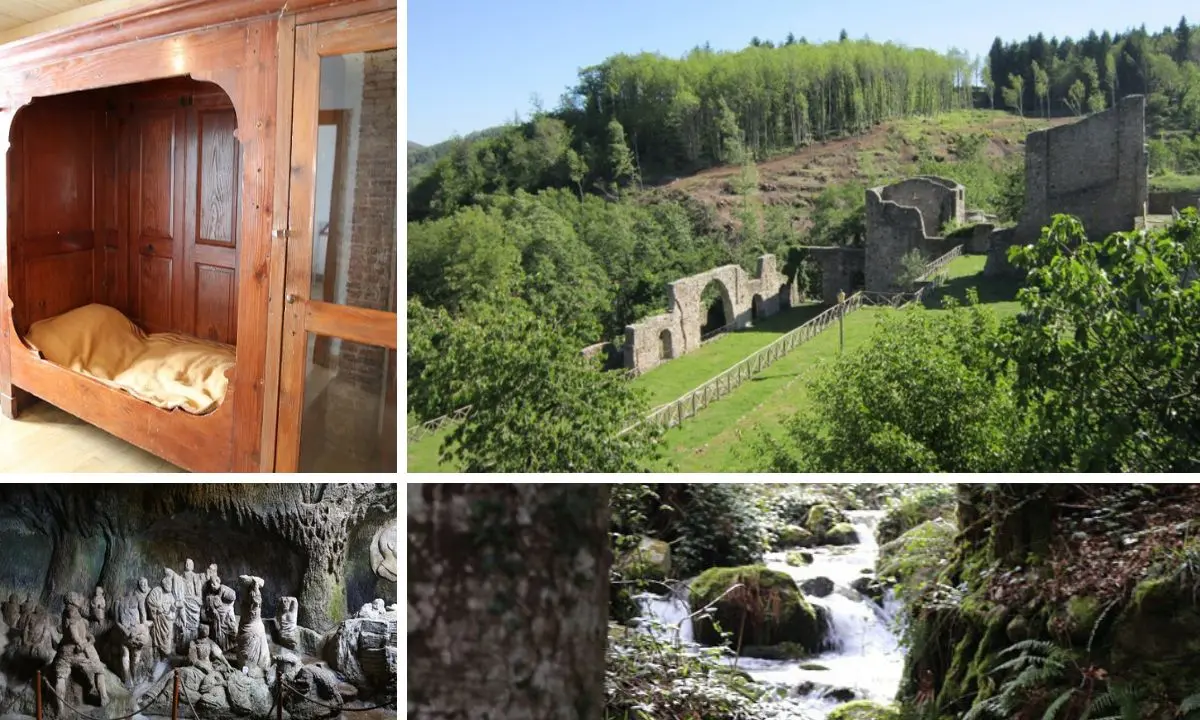 Parco delle Serre, un patrimonio unico da valorizzare: dalle guide agli itinerari, ecco progetti e idee di sviluppo