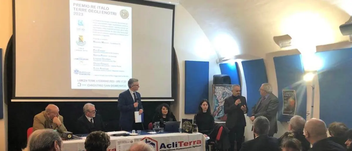 Lamezia, allo scrittore vibonese Michele Furci il premio “Re Italo terra degli Enotri 2023”