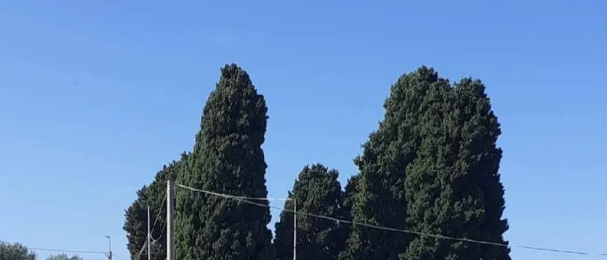 Zaccanopoli: il cimitero chiuso da sei mesi e il \"mistero\" della perizia