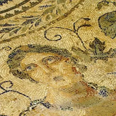 Le antiche terme e la storia dei mosaici di Sant’Aloe, Collia: «Patrimonio da valorizzare»