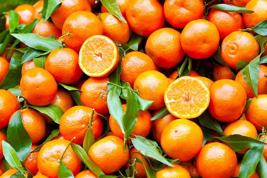 Le Clementine di Calabria Igp protagoniste alla fiera internazionale di ...