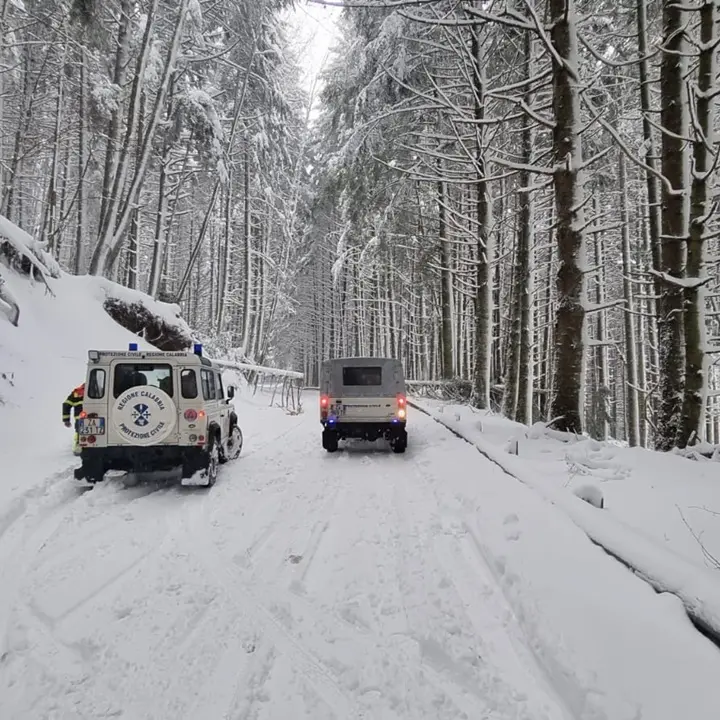 Gelo e forte vento nel Vibonese: nelle Serre disagi e scuole ancora chiuse