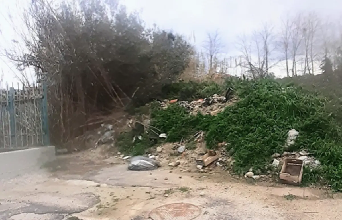 Zaccanopoli, pure l'ex sindaco Grillo contro la giunta Budriesi